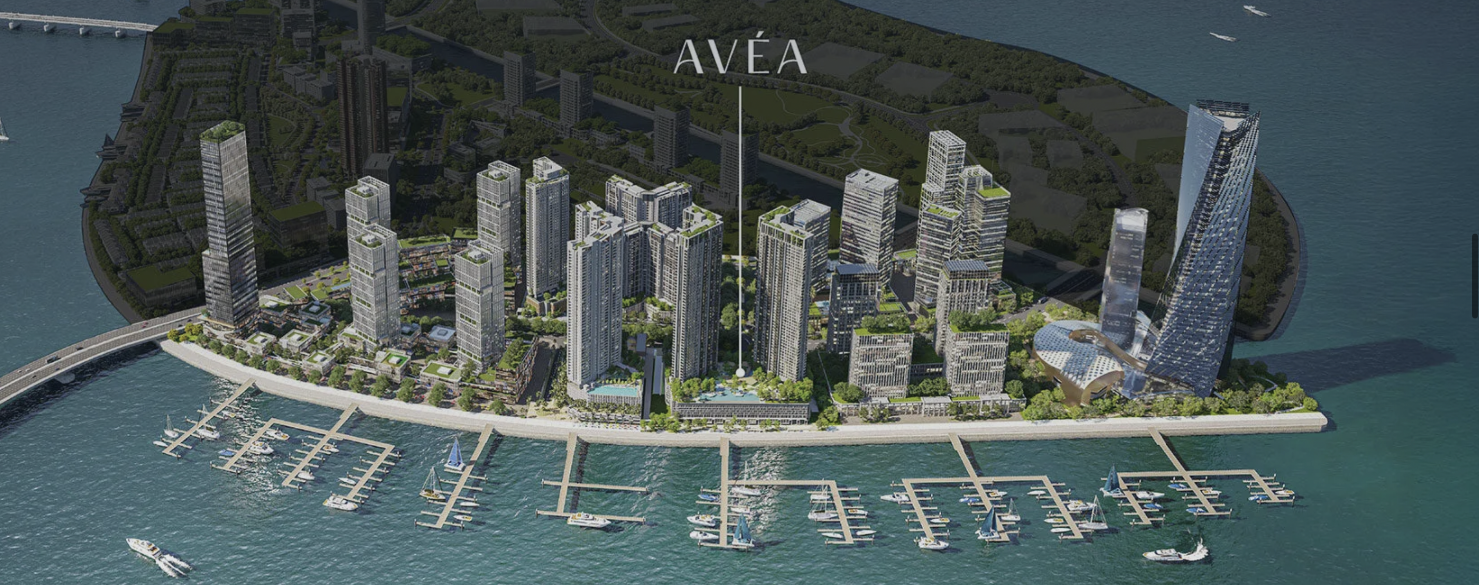 AVÉA cover